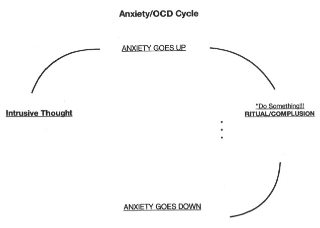 The OCD Cycle 